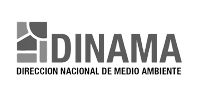 04_DINAMA