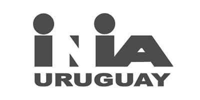 06_Inea