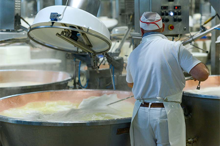 Procesamiento de Alimentos